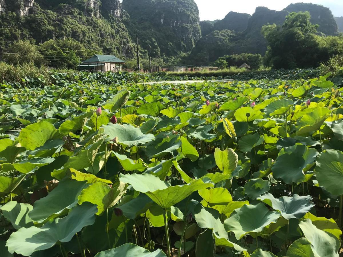 Trang An Lim Garden Hotell Xuan Son Eksteriør bilde